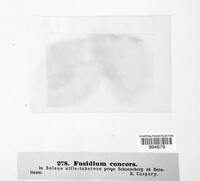 Image Associated With the Occurence